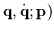 ${\bf q} , \dot{\bf q} ;
{\bf p})$