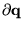 $\partial{\bf q}$