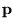 ${\bf p}$